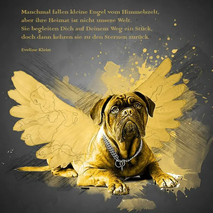 Condolence image of Andrea mit Minki im ❤ gest.19.10.20