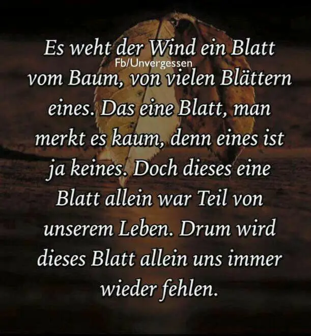 Andachtsbild von Andrea mit Minki im ❤ gest.19.10.20
