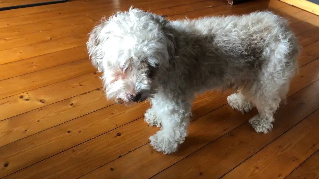 Andachtsbild von Heike