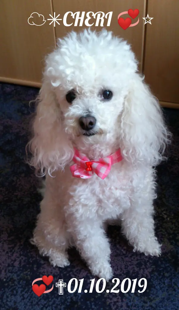 Andachtsbild von Angela mit Engel CHERI ❤⭐✨