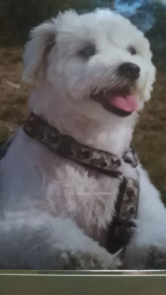 Andachtsbild von Lutz Manteufel