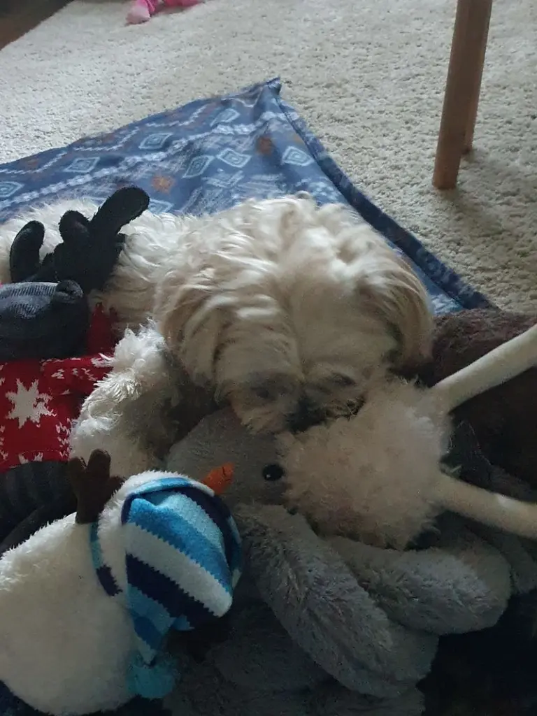 Condolence image of Sabine