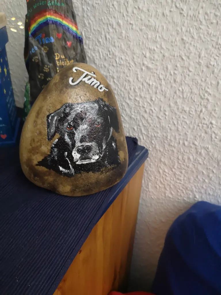 Image from Timo