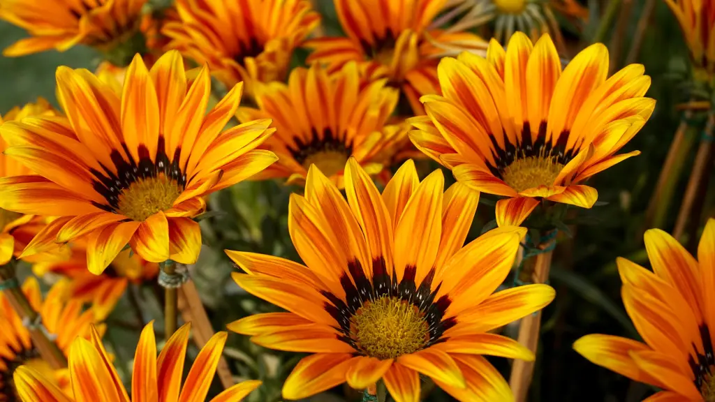 Condolence image of Unbekannt