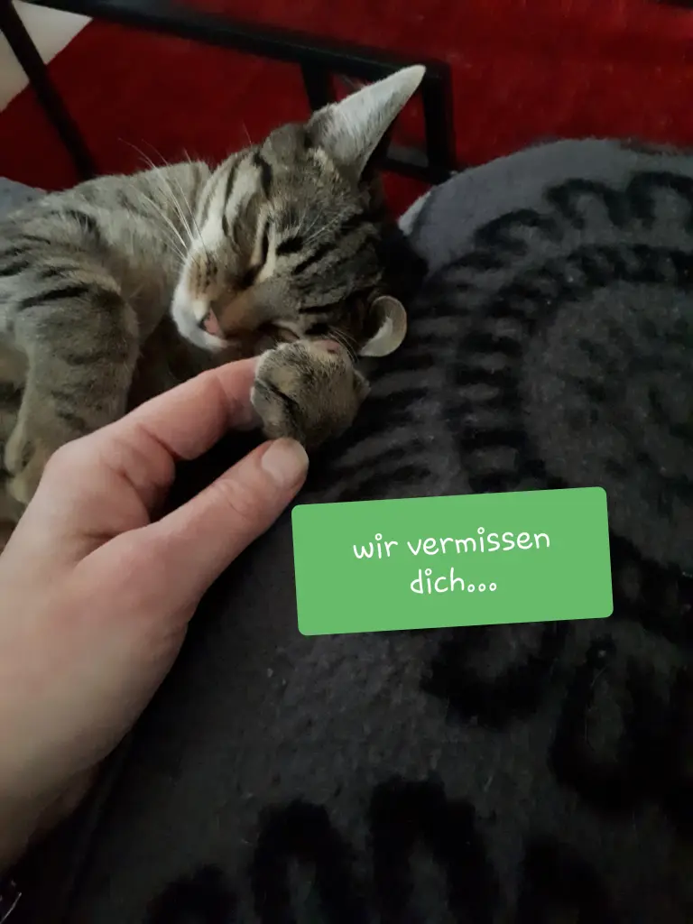 Image from Tomke