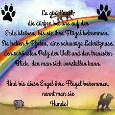 Andachtsbild von Andrea mit Minki im ❤ gest.19.10.20