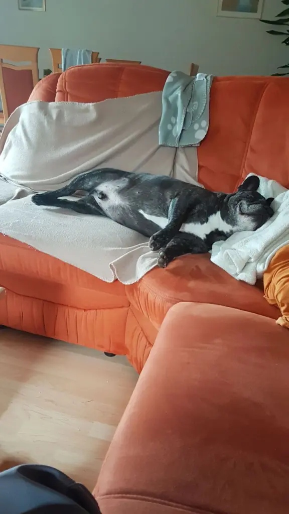 Andachtsbild von Unbekannt