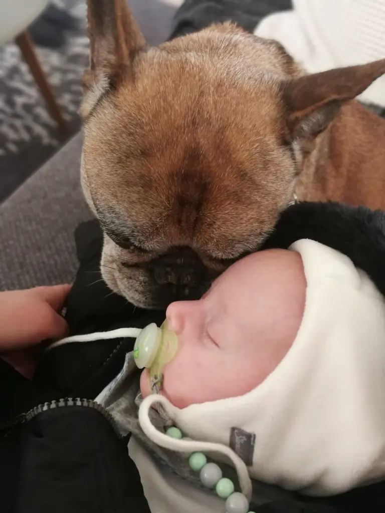 Andachtsbild von Tina