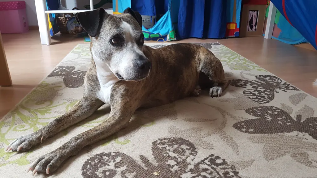 Andachtsbild von Jennifer