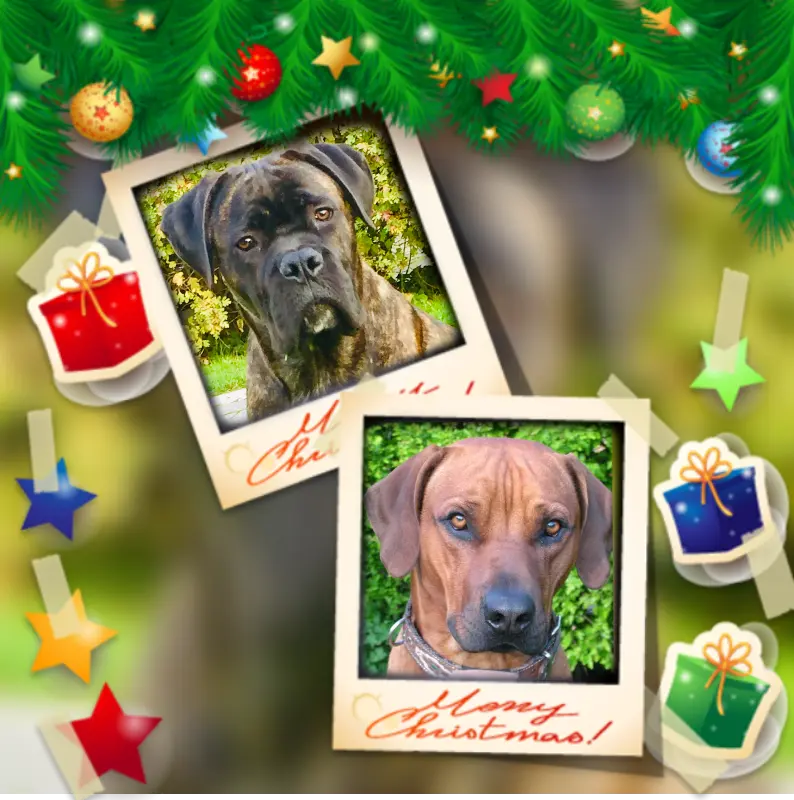 Andachtsbild von Britta