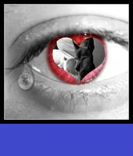 Condolence image of ❤️❤️❤️