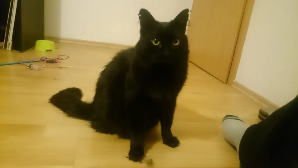Image from Flausch