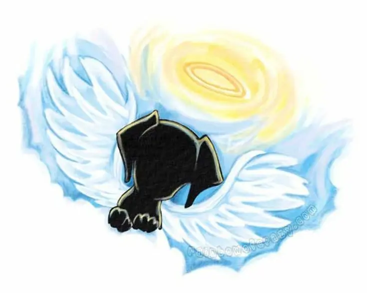Condolence image of Andrea mit Minki im ❤ gest.19.10.2020