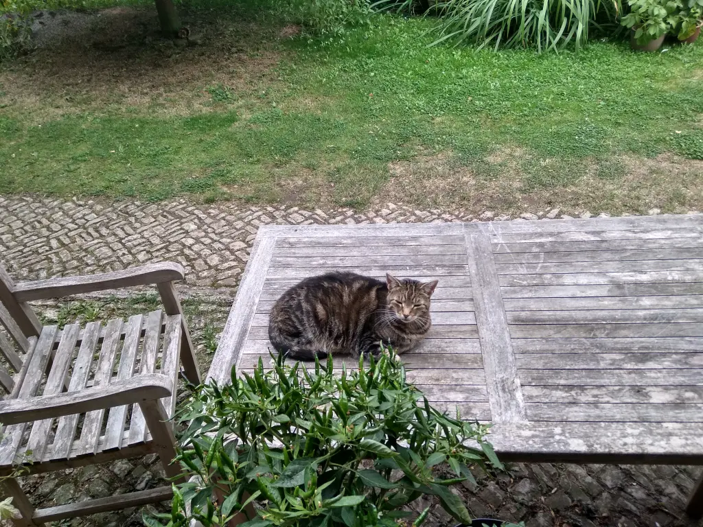 Image from Hilde