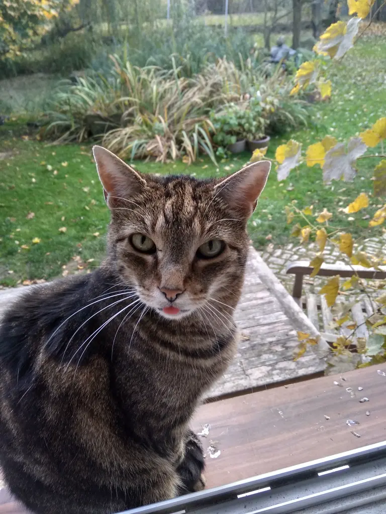Image from Hilde