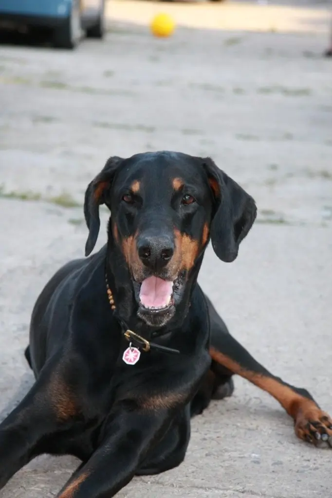 Condolence image of Simone