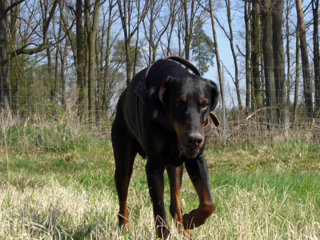 Condolence image of Simone