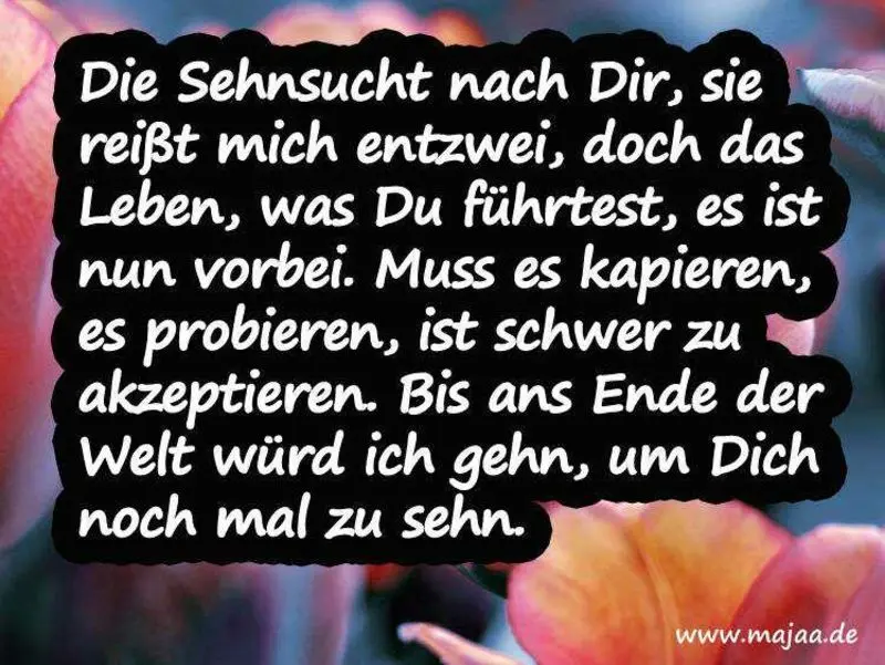 Condolence image of Gabi mit Max (gest. 20.11.2020)