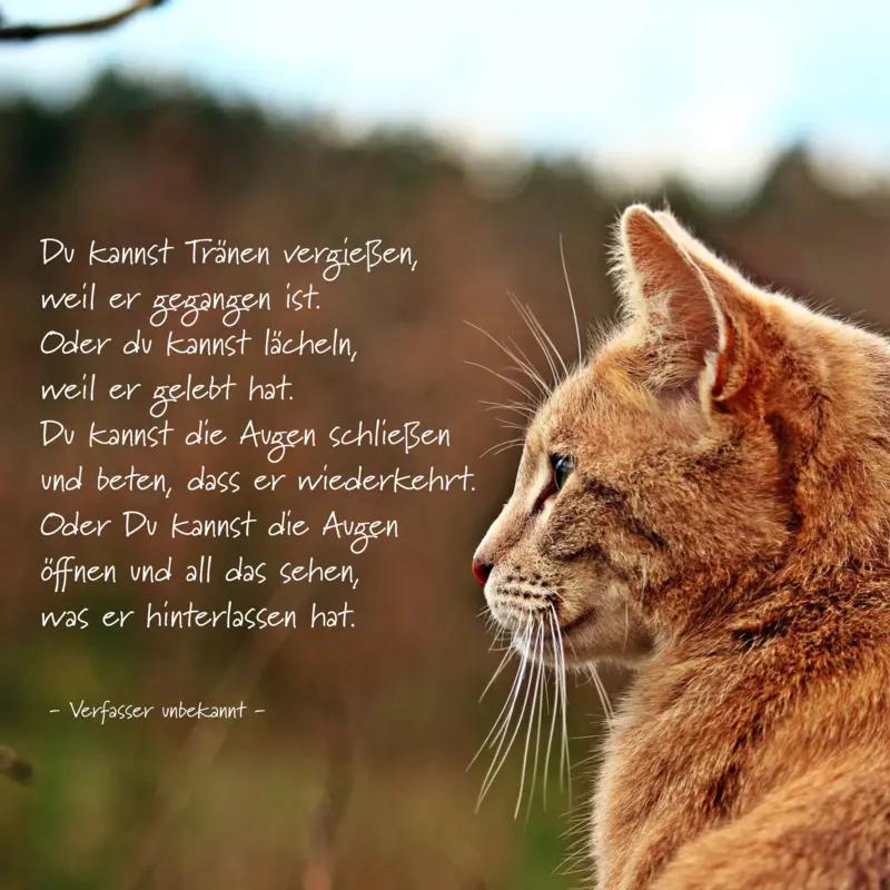 Condolence image of Unbekannt