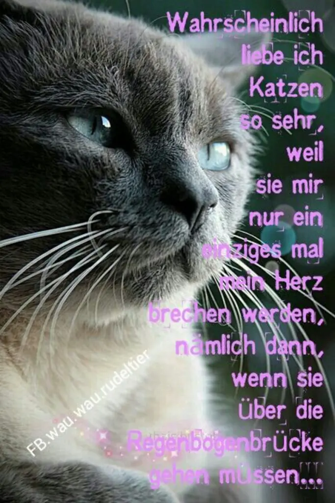 Condolence image of Unbekannt