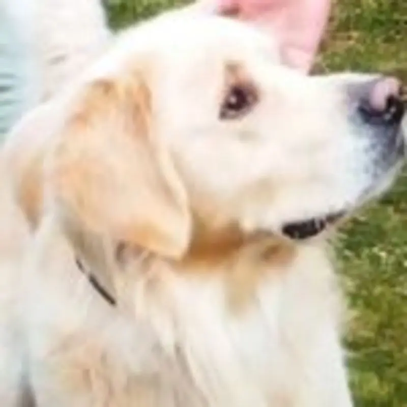 Andachtsbild von Heike