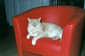 Image from Lilli und Filou