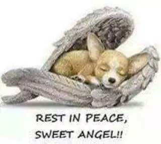 Condolence image of Michaela Horn