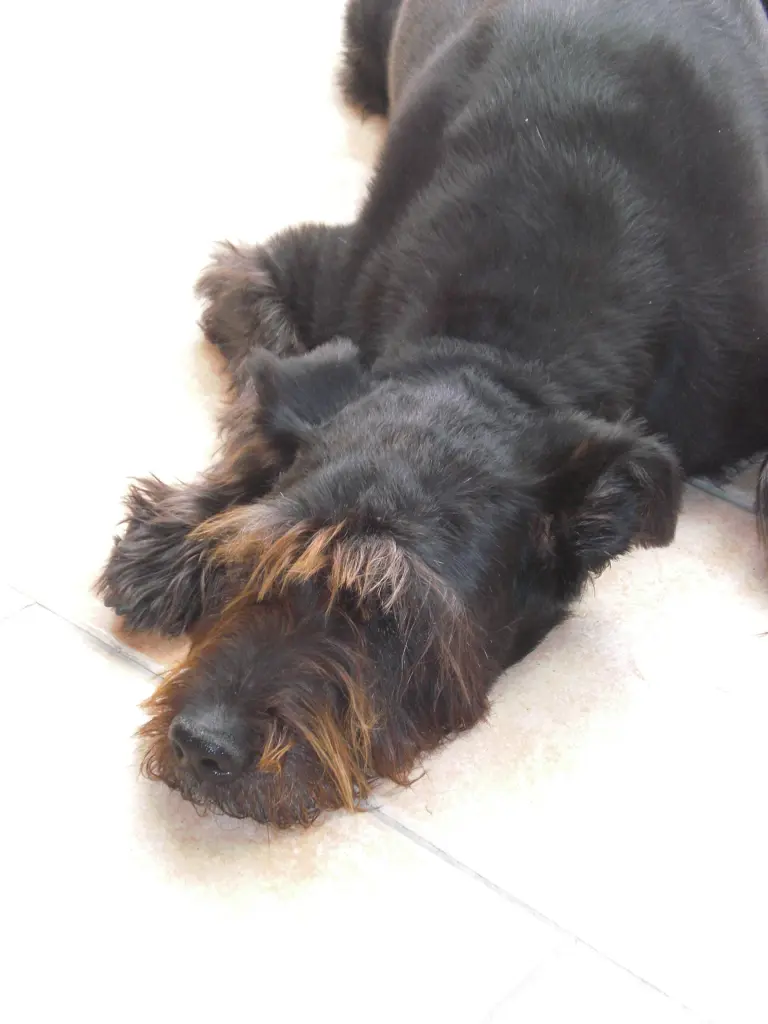 Condolence image of Gisela