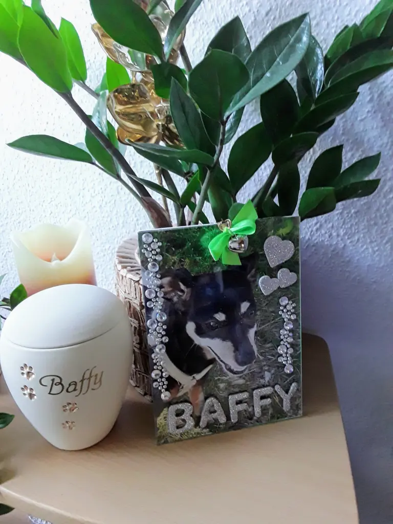 Andachtsbild von Cerstin mit Baffy im Herzen ❤(02.07.20)