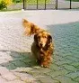 Andachtsbild von Claudia mit Axel im Herzen