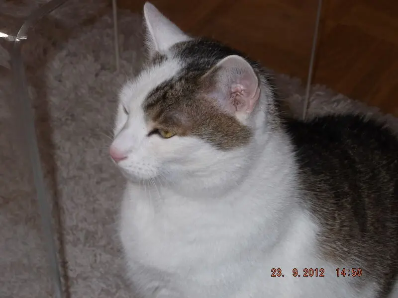 Condolence image of Unbekannt