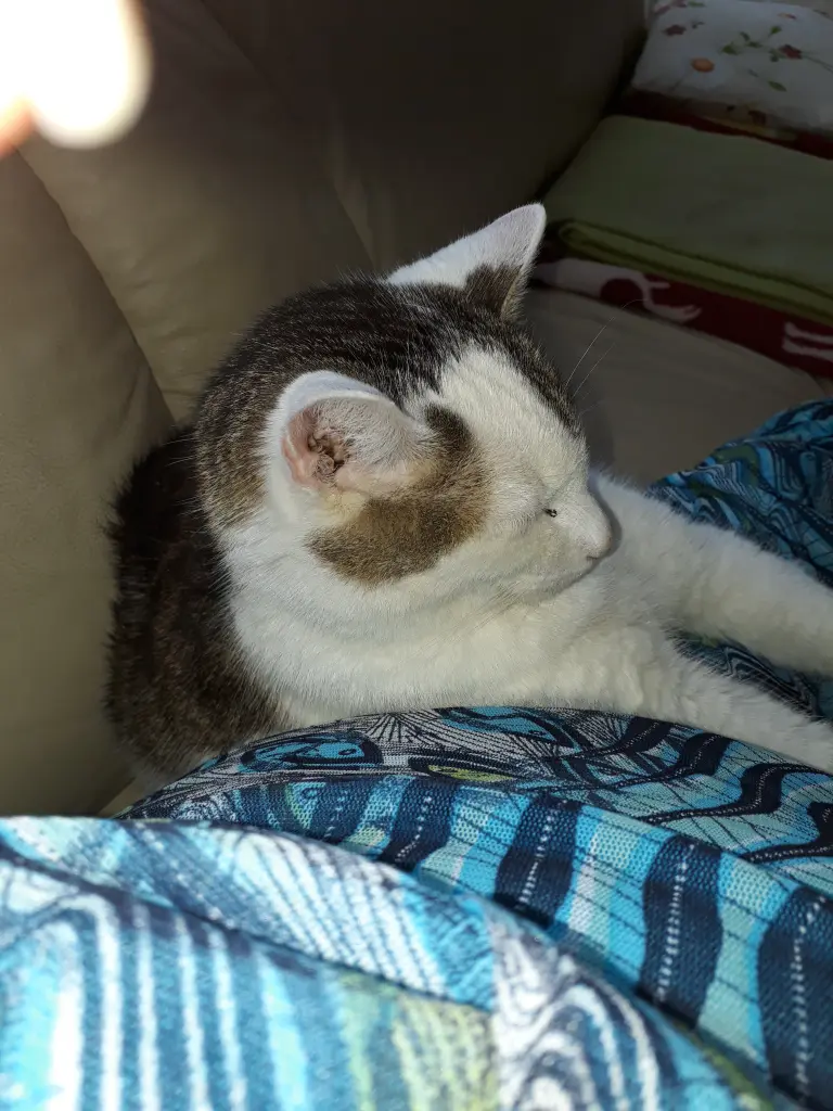 Image from Minky