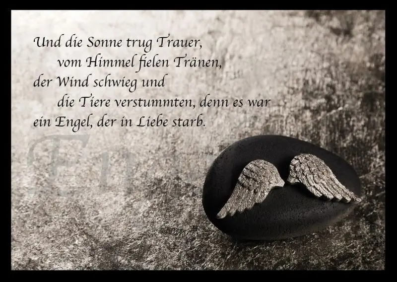 Condolence image of Katrin und Katzi im ❤️