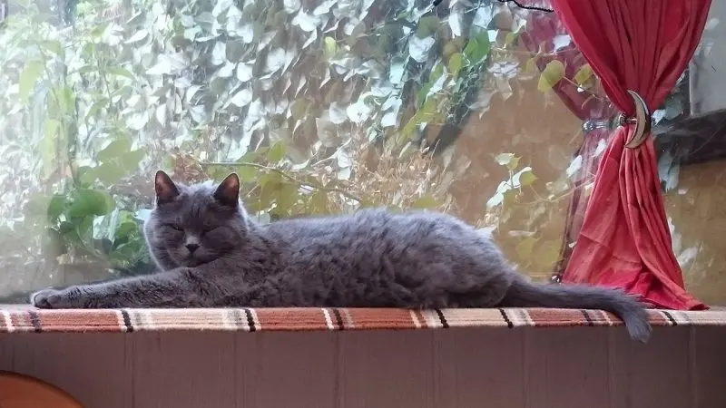 Condolence image of Maike