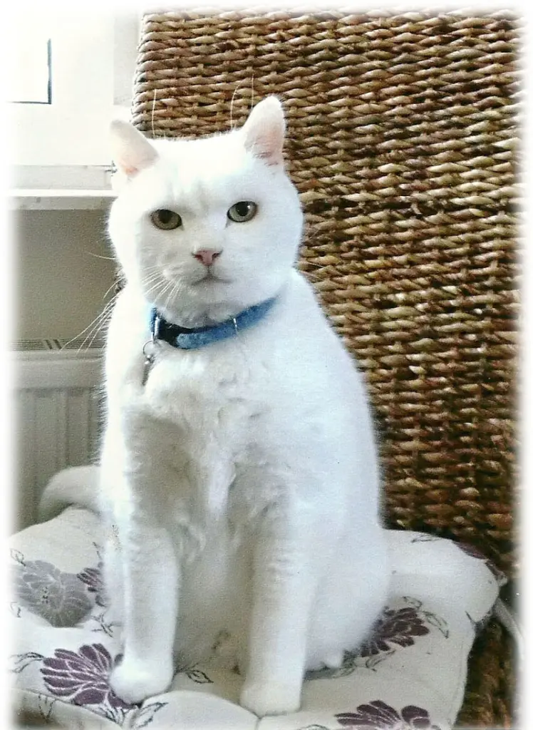 Condolence image of Ute und Michael