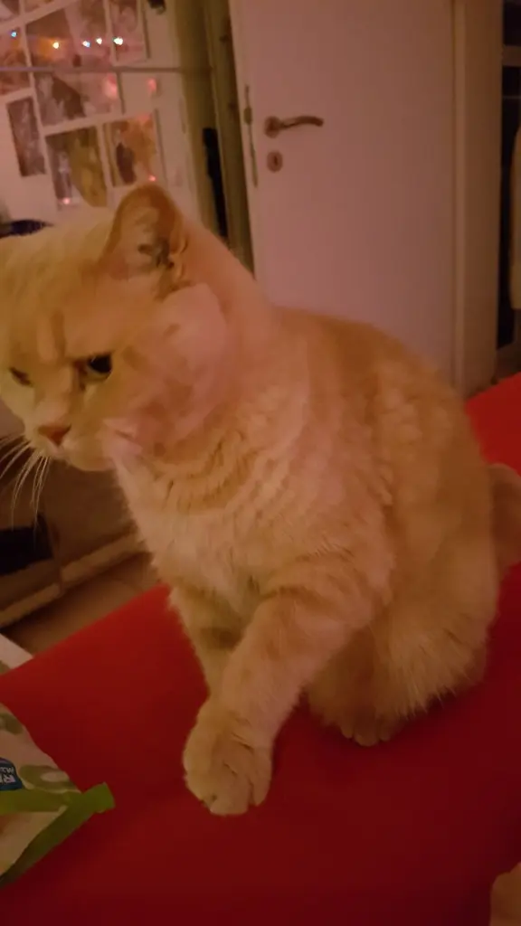 Condolence image of Katrin mit Moritz im Herzen