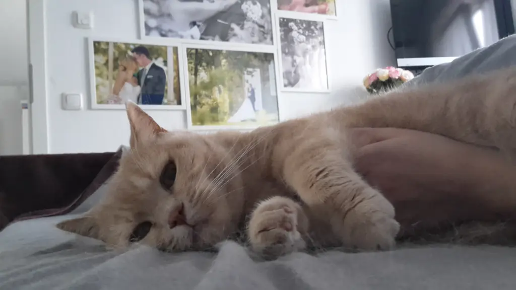 Condolence image of Katrin mit Moritz