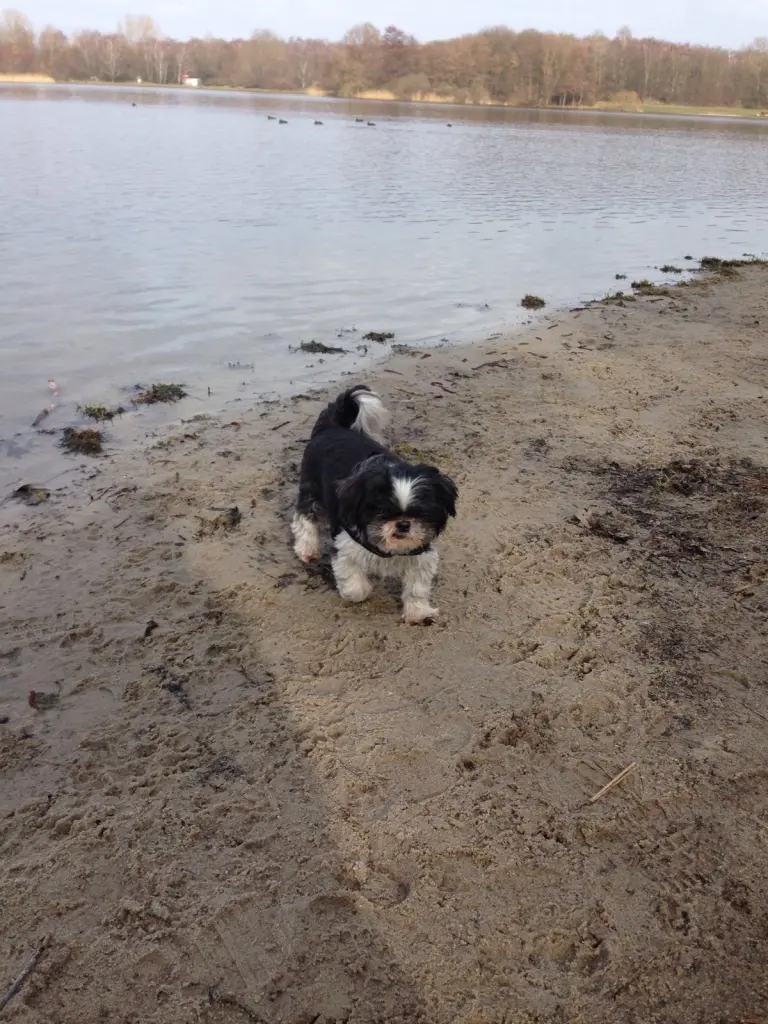Image from Rusty