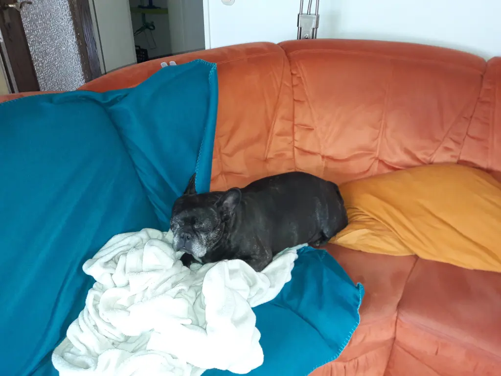 Andachtsbild von Unbekannt