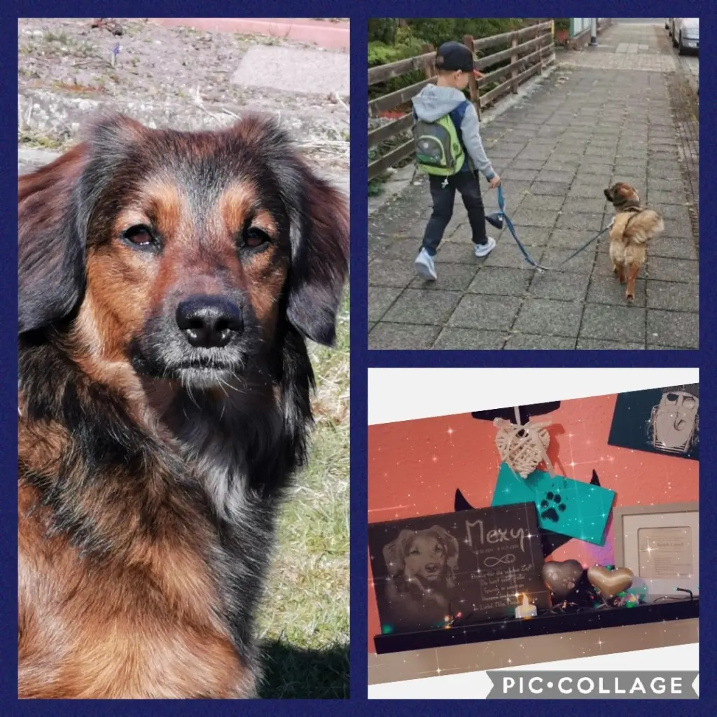 Image from Mexy