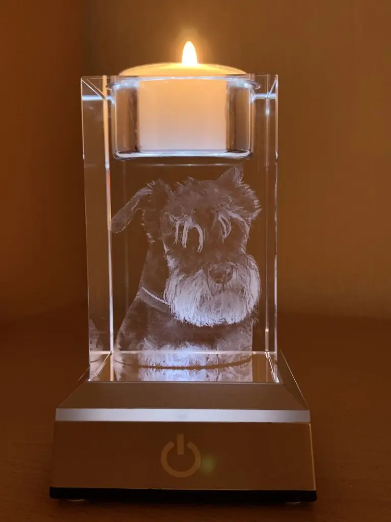 Condolence image of Tina