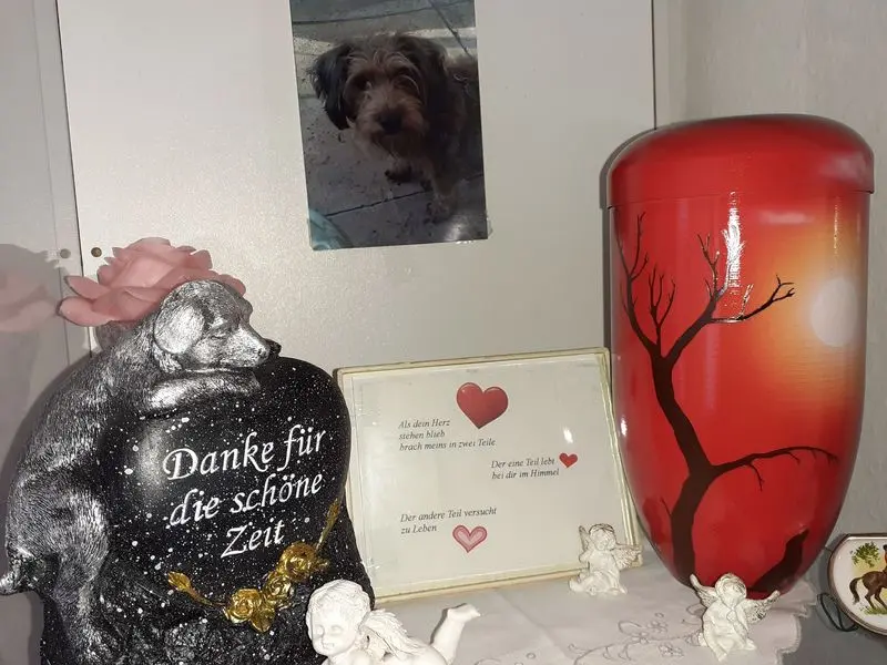 Condolence image of Renate mit Gina 25.11.20 Verst.
