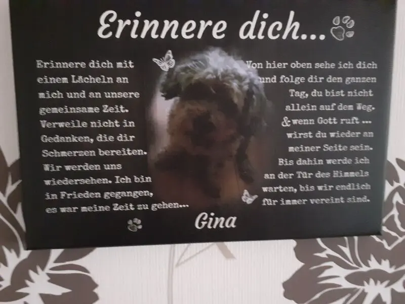 Condolence image of Mein Sternchen