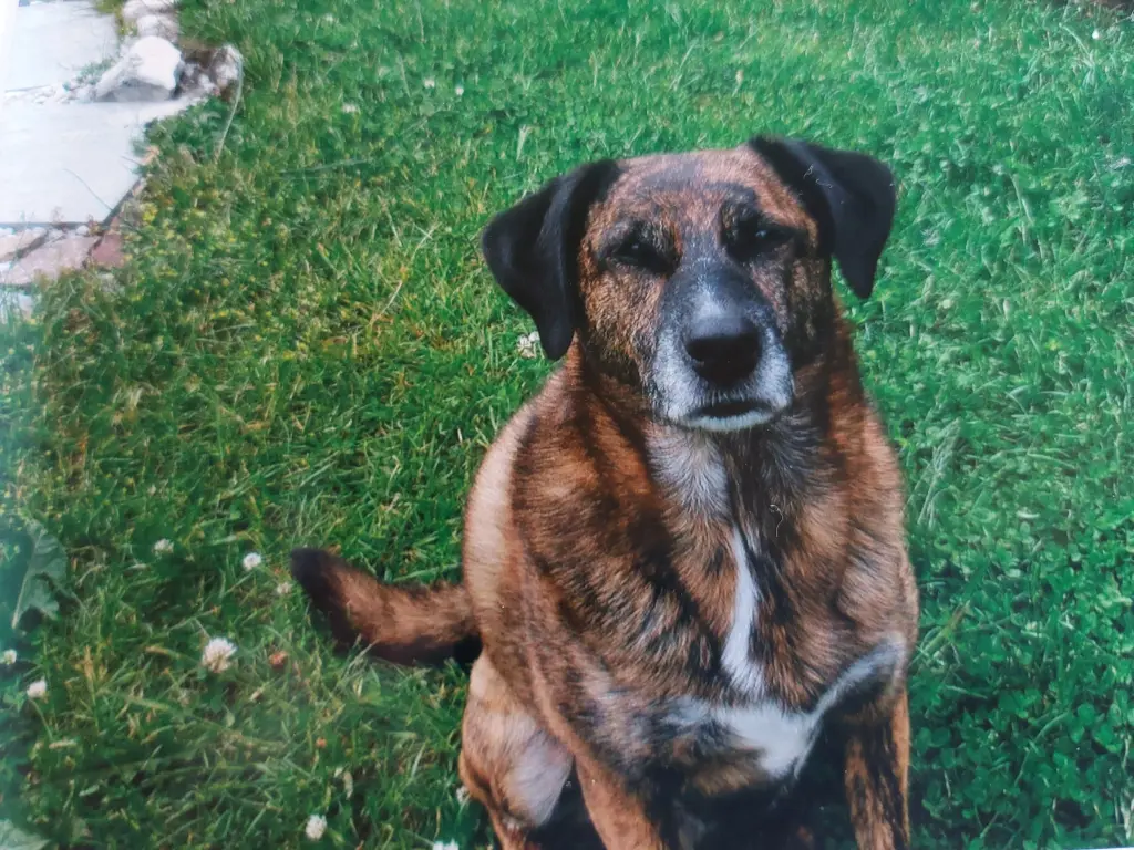 Condolence image of Gabi mit Max ❣️