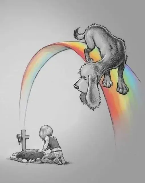 Condolence image of Sternenpost an meine Gina