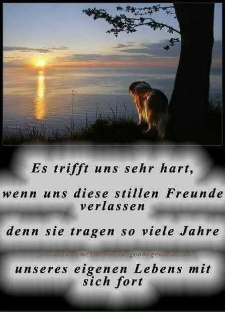 Condolence image of Gabi mit Max ❣️