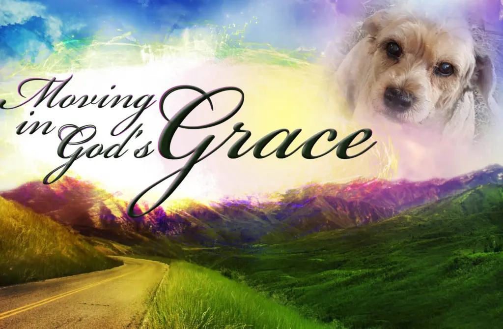 Condolence image of Zum Gedenken ❤️