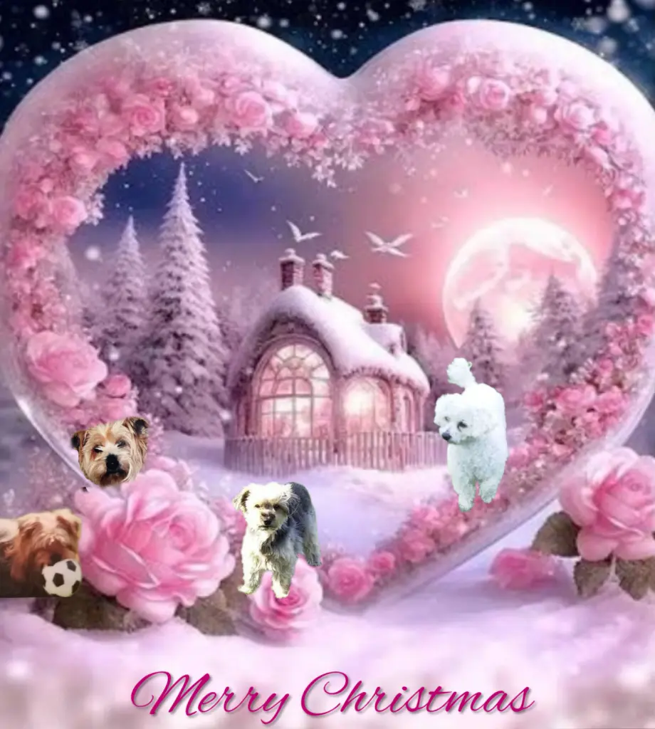 Condolence image of Gaby mit Snowy* im Herzen