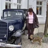 Condolence image of An meine Gina