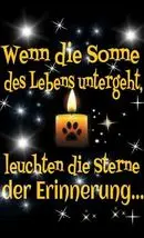 Condolence image of An meine Gina